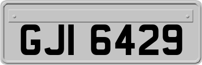 GJI6429
