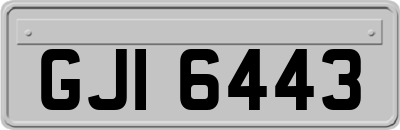 GJI6443