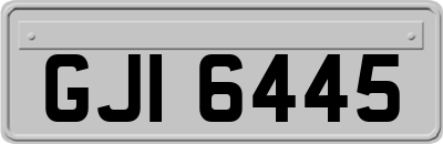 GJI6445