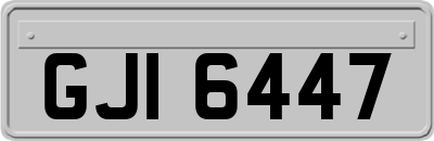 GJI6447