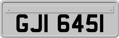 GJI6451