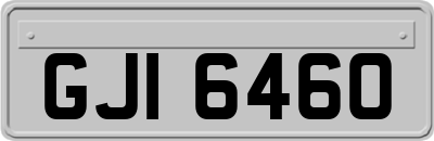 GJI6460