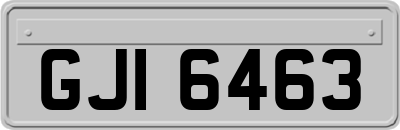 GJI6463