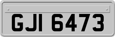 GJI6473
