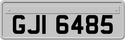 GJI6485