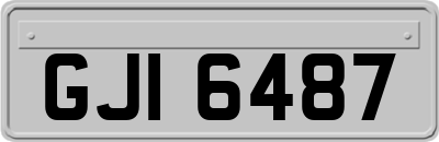 GJI6487