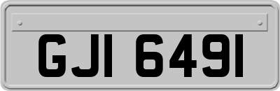 GJI6491