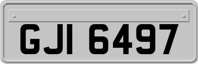 GJI6497