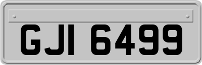 GJI6499