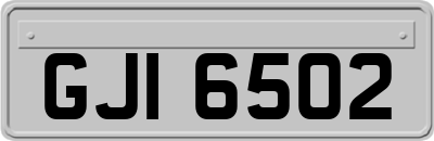 GJI6502