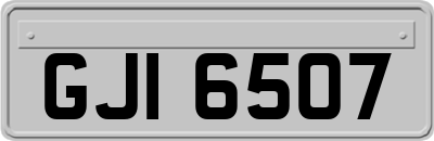 GJI6507