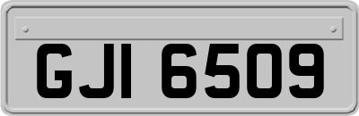 GJI6509