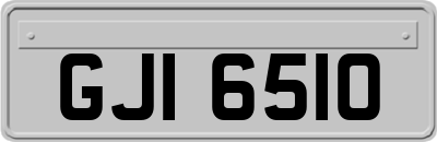 GJI6510
