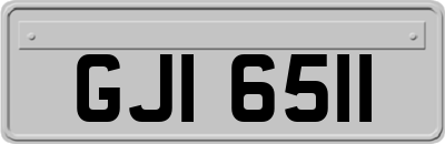 GJI6511