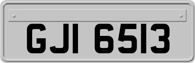 GJI6513