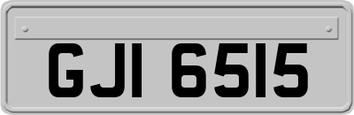 GJI6515