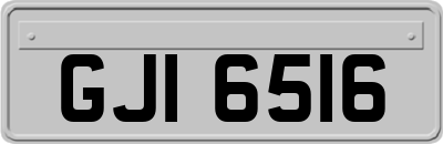 GJI6516