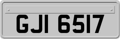 GJI6517
