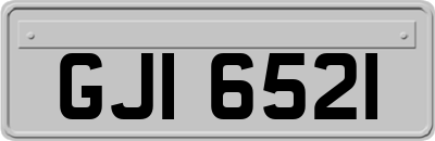 GJI6521
