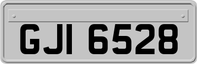 GJI6528