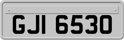 GJI6530