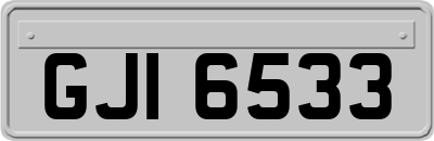 GJI6533