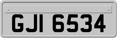 GJI6534