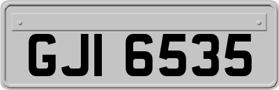 GJI6535