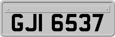 GJI6537