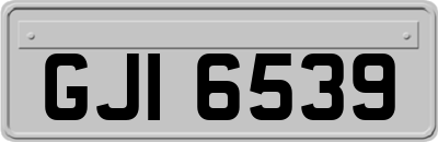 GJI6539