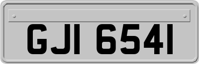 GJI6541