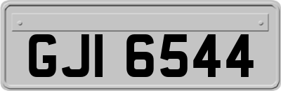 GJI6544