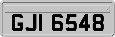 GJI6548