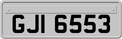 GJI6553