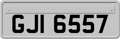 GJI6557