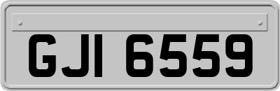 GJI6559
