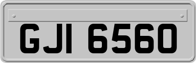 GJI6560