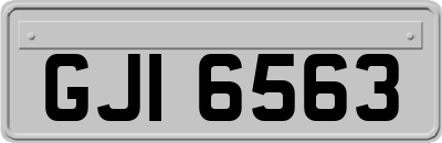 GJI6563