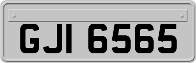 GJI6565