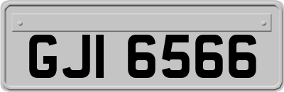 GJI6566