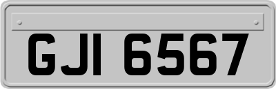 GJI6567