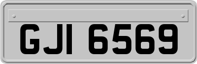 GJI6569