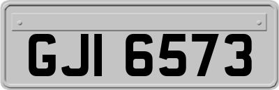 GJI6573