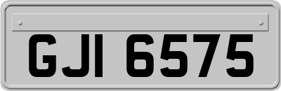 GJI6575