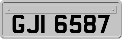 GJI6587