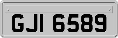 GJI6589