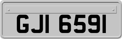 GJI6591