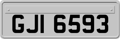 GJI6593