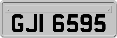 GJI6595