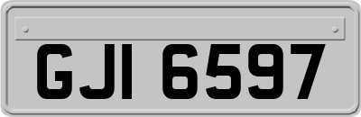 GJI6597